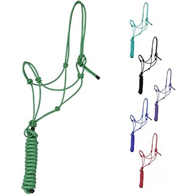 Majestic Licol d'entraînement Rigide en Polyester de 0,6 cm à 4 nœuds avec Laisse Assortie de 3 m pour Chevaux Full (Vert Chasseur, Complet) - Publicité Majestic Licol d'entraînement Rigide en Polyester de 0,6 cm à 4 nœuds avec Laisse Assortie de 3 m pour Chevaux Full (Vert Chasseur, Complet) - Publicité
