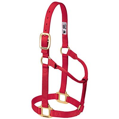Weaver Leather Harnachement en nylon rouge pour cheval - Horse Halter - Publicité Weaver Leather Harnachement en nylon rouge pour cheval - Horse Halter - Publicité