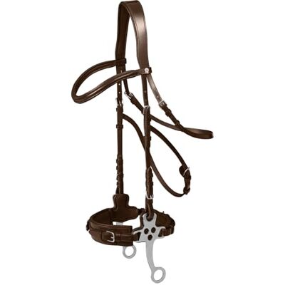 Waldhausen X-Line Hackamore Trensenzaum, Braun, Vollblut - Publicité Waldhausen X-Line Hackamore Trensenzaum, Braun, Vollblut - Publicité