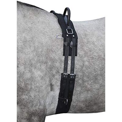 HKM 12701 Sangle de Longe en Toile avec Double poignée Fixe pour Poney Noir - Publicité HKM 12701 Sangle de Longe en Toile avec Double poignée Fixe pour Poney Noir - Publicité