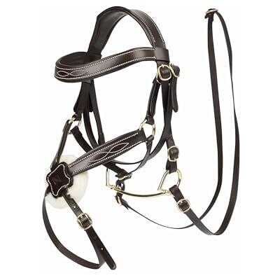 LeMieux Hobby Bride de préhension pour cheval Marron - Publicité LeMieux Hobby Bride de préhension pour cheval Marron - Publicité