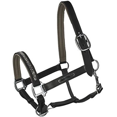 Halter en cuir avec strass Lupin QHP - Halter pour cheval - Publicité Halter en cuir avec strass Lupin QHP - Halter pour cheval - Publicité
