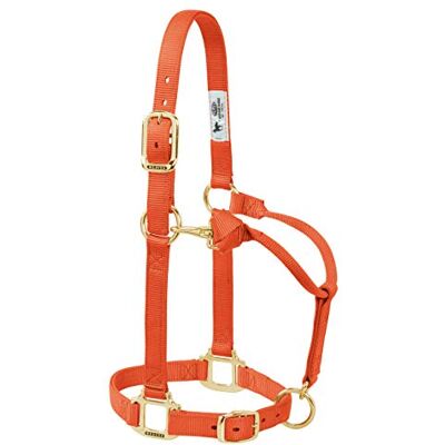 Halter réglable en nylon orange Weaver Leather - Équipement équestre - Publicité Halter réglable en nylon orange Weaver Leather - Équipement équestre - Publicité