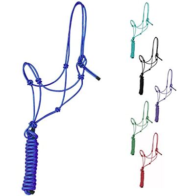 Majestic Licol d'entraînement Rigide en Polyester de 0,6 cm à 4 nœuds avec Laisse Assortie de 3 m pour Chevaux Full (Bleu Roi, Complet) - Publicité Majestic Licol d'entraînement Rigide en Polyester de 0,6 cm à 4 nœuds avec Laisse Assortie de 3 m pour Chevaux Full (Bleu Roi, Complet) - Publicité