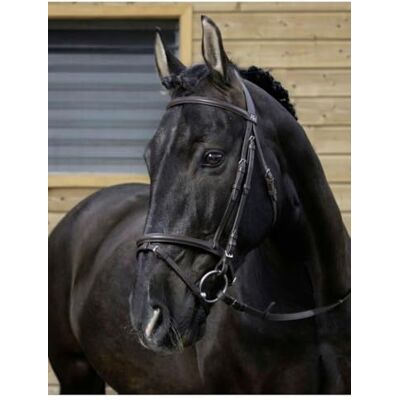 RIDING WORLD Bridon Combinée Couleurs Noir, Taille Equipement Cheval COB - Publicité RIDING WORLD Bridon Combinée Couleurs Noir, Taille Equipement Cheval COB - Publicité