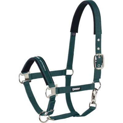 Eskadron Standard Halfter PIN Buckle - Publicité Eskadron Standard Halfter PIN Buckle - Publicité
