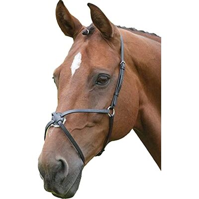 Shires Blenheim Quiscale Muserolle COB Black - Publicité Shires Blenheim Quiscale Muserolle COB Black - Publicité