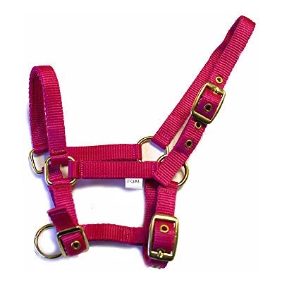 Rhinegold Licol pour Poulain en Nylon Framboise - Publicité Rhinegold Licol pour Poulain en Nylon Framboise - Publicité