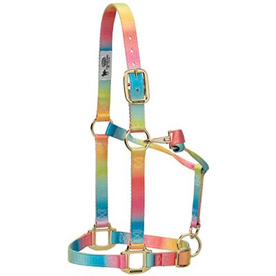 Weaver Equine Weaver Leather Licol réglable en Polyester Arc-en-Ciel pour Menton et Gorge - Publicité Weaver Equine Weaver Leather Licol réglable en Polyester Arc-en-Ciel pour Menton et Gorge - Publicité