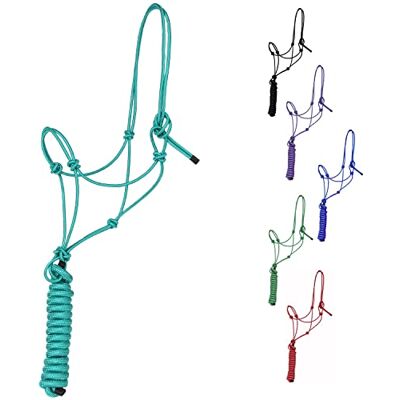 Majestic Licol d'entraînement Rigide en Polyester de 0,6 cm à 4 nœuds avec Laisse Assortie de 3 m pour Chevaux Full (Turquoise, Plein) - Publicité Majestic Licol d'entraînement Rigide en Polyester de 0,6 cm à 4 nœuds avec Laisse Assortie de 3 m pour Chevaux Full (Turquoise, Plein) - Publicité