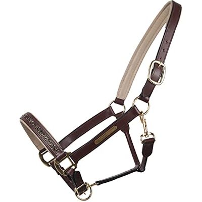 QHP Licol Lupine Cuir Marron Moyen- Beige Cheval - Publicité QHP Licol Lupine Cuir Marron Moyen- Beige Cheval - Publicité