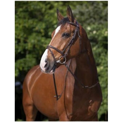 RIDING WORLD Bridon Combinée Couleurs Havane, Taille Equipement Cheval COB - Publicité RIDING WORLD Bridon Combinée Couleurs Havane, Taille Equipement Cheval COB - Publicité