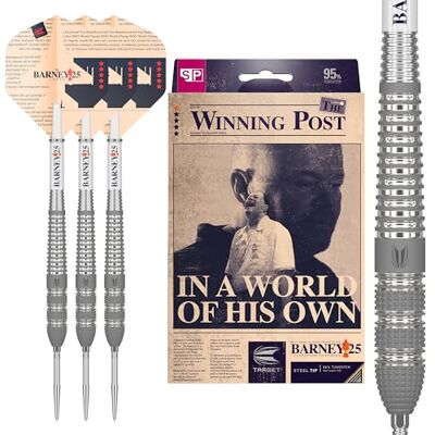 Target Darts Raymond Van Barneveld RVB 25 Year Edition 23G 95% Tungstène Swiss Point Pointe en Acier Jeu de fléchettes - Publicité Target Darts Raymond Van Barneveld RVB 25 Year Edition 23G 95% Tungstène Swiss Point Pointe en Acier Jeu de fléchettes - Publicité