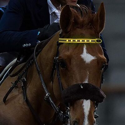 QQY Cerceaux de tête de Cheval Collier de cuirasse de Cheval LED Bande de positionnement visuel Harnais de tête de Cheval pour l'équitation Nocturne Projet de compétition équestre (Jaune) - Publicité QQY Cerceaux de tête de Cheval Collier de cuirasse de Cheval LED Bande de positionnement visuel Harnais de tête de Cheval pour l'équitation Nocturne Projet de compétition équestre (Jaune) - Publicité