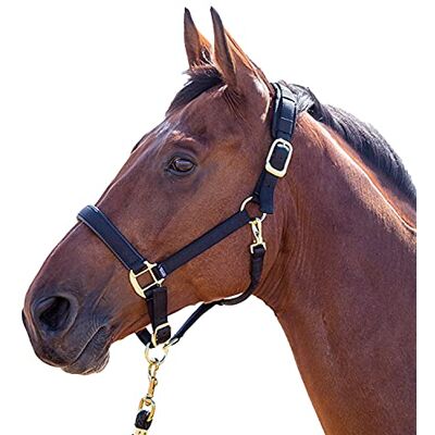 Shires Licol Topaz en nylon, coloris noir, noir, Extra-full - Publicité Shires Licol Topaz en nylon, coloris noir, noir, Extra-full - Publicité