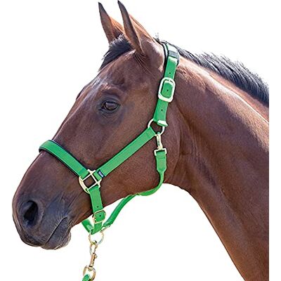 Shires Licol Topaz (Grand Cheval) (Vert) - Publicité Shires Licol Topaz (Grand Cheval) (Vert) - Publicité
