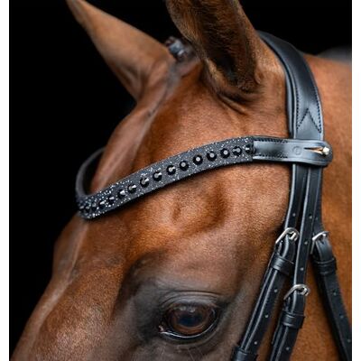 Imperial Riding IRHSlim Bandeau Fin en Cuir avec Strass en Verre et Fermeture à goupille Noir - Publicité Imperial Riding IRHSlim Bandeau Fin en Cuir avec Strass en Verre et Fermeture à goupille Noir - Publicité