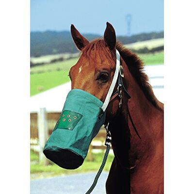 EKKIA Musette canvas vert - Publicité EKKIA Musette canvas vert - Publicité