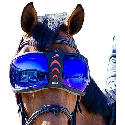 EQUICK Lunettes Cheval eVysor - Publicité EQUICK Lunettes Cheval eVysor - Publicité