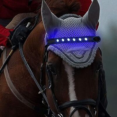 QQY Cerceaux de tête de Cheval Collier de cuirasse de Cheval LED Bande de positionnement visuel Harnais de tête de Cheval pour l'équitation Nocturne Projet de compétition équestre (Bleu) - Publicité QQY Cerceaux de tête de Cheval Collier de cuirasse de Cheval LED Bande de positionnement visuel Harnais de tête de Cheval pour l'équitation Nocturne Projet de compétition équestre (Bleu) - Publicité