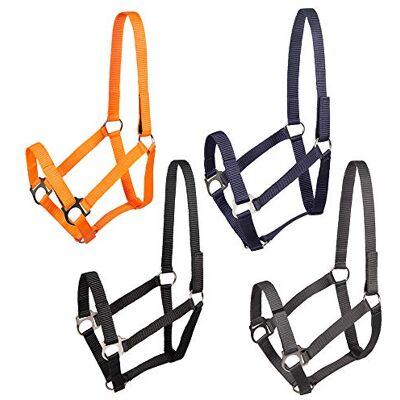 PFIFF Jocose 102921 Licol de sécurité pour pâturage, Orange, shetty - Publicité PFIFF Jocose 102921 Licol de sécurité pour pâturage, Orange, shetty - Publicité