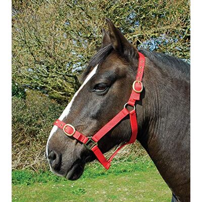 Rhinegold Nylon Headcollar-COB-Red Licol 0, Rouge - Publicité Rhinegold Nylon Headcollar-COB-Red Licol 0, Rouge - Publicité