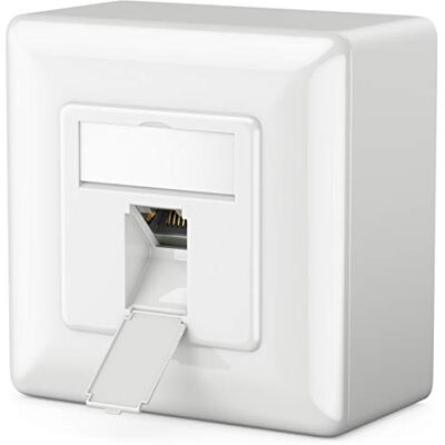 deleyCON 1x CAT6 Universel Prise Réseau 1x Port RJ45 Blindé Surface ou Affleurant 1 Gigabit Ethernet Réseau EIA/TIA 568B Blanc - Publicité deleyCON 1x CAT6 Universel Prise Réseau 1x Port RJ45 Blindé Surface ou Affleurant 1 Gigabit Ethernet Réseau EIA/TIA 568B Blanc - Publicité