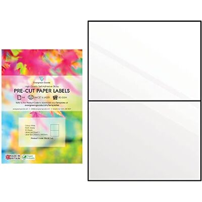 EVG Lot de 30 Feuilles d'Étiquettes d'Adresse Pré-Découpées Blanches Brillantes - Publicité EVG Lot de 30 Feuilles d'Étiquettes d'Adresse Pré-Découpées Blanches Brillantes - Publicité