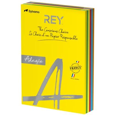 REY Adagio Ramette 40 feuilles x 5 teintes 80g A4 Assorties intenses - Publicité REY Adagio Ramette 40 feuilles x 5 teintes 80g A4 Assorties intenses - Publicité