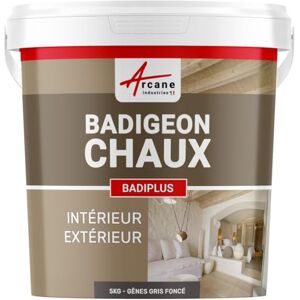 ARCANE INDUSTRIES Badigeon à la Chaux, décoration intérieure, extérieur, Maison : Badiplus 5 kg (jusqu'à 25 m²) Gênes Gris Foncé - Publicité ARCANE INDUSTRIES Badigeon à la Chaux, décoration intérieure, extérieur, Maison : Badiplus 5 kg (jusqu'à 25 m²) Gênes Gris Foncé - Publicité