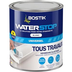 Mastic d'étanchéité Bostik - 1kg Blanc - Publicité Mastic d'étanchéité Bostik - 1kg Blanc - Publicité