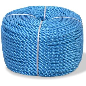 vidaXL Corde Torsadée Polypropylène 12 mm 500 m Bleu Jardin Cordage Cordon - Publicité vidaXL Corde Torsadée Polypropylène 12 mm 500 m Bleu Jardin Cordage Cordon - Publicité