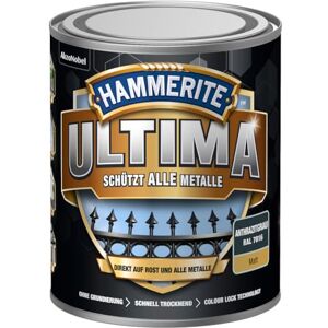 HAMMERITE - Metallschutzlask Ultima - Gris anthracite - 750 ml - Peinture - Publicité HAMMERITE - Metallschutzlask Ultima - Gris anthracite - 750 ml - Peinture - Publicité