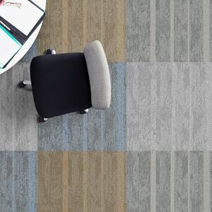Floordirekt Dalles de moquette 1 pièce 50 x 50 cm Carreaux, moquette robuste, avec dos en vinyle antidérapant (gris Zurich) - Publicité Floordirekt Dalles de moquette 1 pièce 50 x 50 cm Carreaux, moquette robuste, avec dos en vinyle antidérapant (gris Zurich) - Publicité