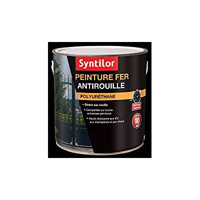 Syntilor Peinture Fer Ultra Protect Noir Brillant RAL 9005 1,5L - Publicité Syntilor Peinture Fer Ultra Protect Noir Brillant RAL 9005 1,5L - Publicité