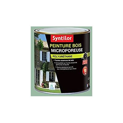 Syntilor Peinture Bois Microporeuse Vert Provence RAL 6021 0,5L - Publicité Syntilor Peinture Bois Microporeuse Vert Provence RAL 6021 0,5L - Publicité