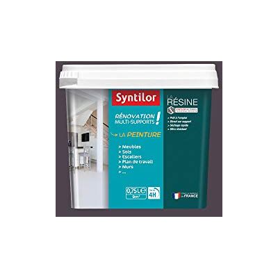 Syntilor Peinture De Rénovation Multi-Supports Gris Graphite Satiné 0,75L - Publicité Syntilor Peinture De Rénovation Multi-Supports Gris Graphite Satiné 0,75L - Publicité
