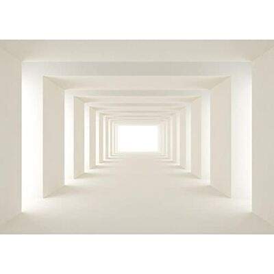 ART Papier peint intissé 3D Effekt 352 x 250 cm Toison Mur XXL Tableaux Muraux Tapisserie Photo Décoration Murale Salon Chambre beige 9404011a - Publicité ART Papier peint intissé 3D Effekt 352 x 250 cm Toison Mur XXL Tableaux Muraux Tapisserie Photo Décoration Murale Salon Chambre beige 9404011a - Publicité