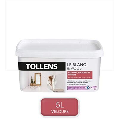 Tollens Peinture Blanche Spéciale Couloirs, Escaliers et Entrées Velours Blanc 5L = 60m2 - Publicité Tollens Peinture Blanche Spéciale Couloirs, Escaliers et Entrées Velours Blanc 5L = 60m2 - Publicité