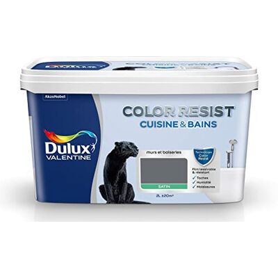 Dulux Valentine Modèle COLOR RESIST Satin Anthracite - Peinture - Publicité Dulux Valentine Modèle COLOR RESIST Satin Anthracite - Peinture - Publicité