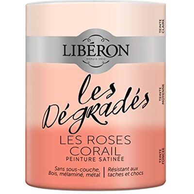 Libéron Peinture décorative, Les dégradés, Les Roses Corail, 600ml - Publicité Libéron Peinture décorative, Les dégradés, Les Roses Corail, 600ml - Publicité