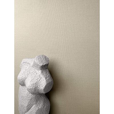 Newroom papier peint intissé taupe uni aspect lin salon chambre beige sable chaud aux reflets satinés, fine texture tissée, élégance naturelle, couloir entrée séjour - Publicité Newroom papier peint intissé taupe uni aspect lin salon chambre beige sable chaud aux reflets satinés, fine texture tissée, élégance naturelle, couloir entrée séjour - Publicité