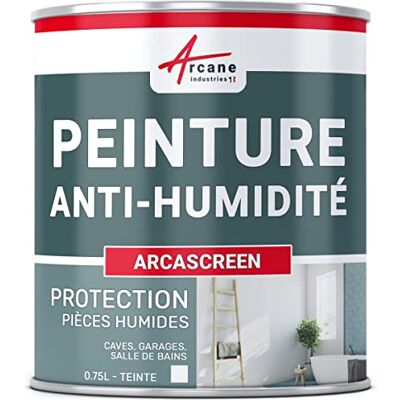 ARCANE INDUSTRIES Peinture Anti Humidité Mur, Salle de Bain, Cave 0.75 L (jusqu'à 3 m²) Peinture Anti-Humidité Microporeuse, Barrière Étanche, Salle de Bain, Cave, Murs, Béton et Plâtre - Publicité ARCANE INDUSTRIES Peinture Anti Humidité Mur, Salle de Bain, Cave 0.75 L (jusqu'à 3 m²) Peinture Anti-Humidité Microporeuse, Barrière Étanche, Salle de Bain, Cave, Murs, Béton et Plâtre - Publicité