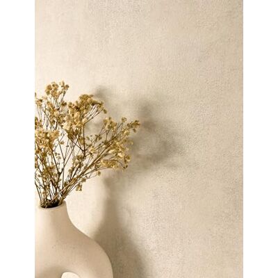 Newroom papier peint intissé beige uni aspect enduit mat chambre ton sable chaud structure fine, esprit campagne scandinave naturel, papier peint salon, décoration murale, couloir entrée - Publicité Newroom papier peint intissé beige uni aspect enduit mat chambre ton sable chaud structure fine, esprit campagne scandinave naturel, papier peint salon, décoration murale, couloir entrée - Publicité