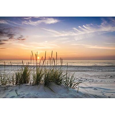 ART Papier peint intissé 396 x 280 cm Plage et mer Coucher de soleil Toison Décoration Murale Salon Chambre á Coucherr Fabrication Allemande 9588012a - Publicité ART Papier peint intissé 396 x 280 cm Plage et mer Coucher de soleil Toison Décoration Murale Salon Chambre á Coucherr Fabrication Allemande 9588012a - Publicité