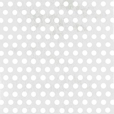 Alberts 466961 Tôle perforée perforation de forme circulaire aluminium, anodisée, couleur argent 200 x 1000 x 0,8 mm - Publicité Alberts 466961 Tôle perforée perforation de forme circulaire aluminium, anodisée, couleur argent 200 x 1000 x 0,8 mm - Publicité