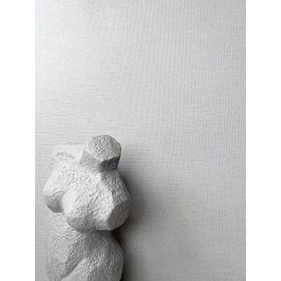 Newroom Papier peint Gris Couleur Unie Intissé Couleurs Unies Gris Clair Structure Textile - Publicité Newroom Papier peint Gris Couleur Unie Intissé Couleurs Unies Gris Clair Structure Textile - Publicité
