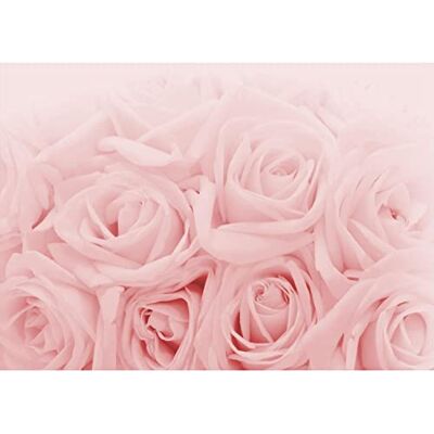 ART Papier peint intissé fleurs roses 352 x 250 cm Toison Mur XXL Tableaux Muraux Tapisserie Photo Décoration Murale Salon Chambre rose 9258011a - Publicité ART Papier peint intissé fleurs roses 352 x 250 cm Toison Mur XXL Tableaux Muraux Tapisserie Photo Décoration Murale Salon Chambre rose 9258011a - Publicité