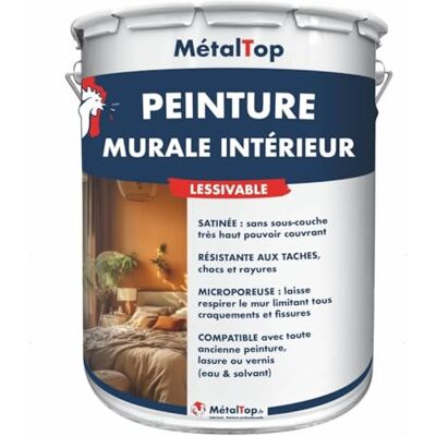 Metaltop Peinture Murale Interieur Gris ardoise RAL 7015-15 L Haute couvrance pour murs en plâtre, placo et béton, rénovation rapide. Publicité Metaltop Peinture Murale Interieur Gris ardoise RAL 7015-15 L Haute couvrance pour murs en plâtre, placo et béton, rénovation rapide. Publicité