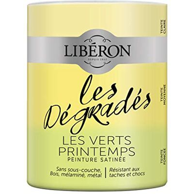 Libéron Peinture décorative, Les dégradés, Les Vert Printemps, 600 ML - Publicité Libéron Peinture décorative, Les dégradés, Les Vert Printemps, 600 ML - Publicité